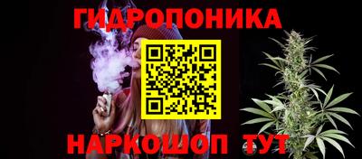 ПСИЛОЦИБИНОВЫЕ ГРИБЫ Бийск