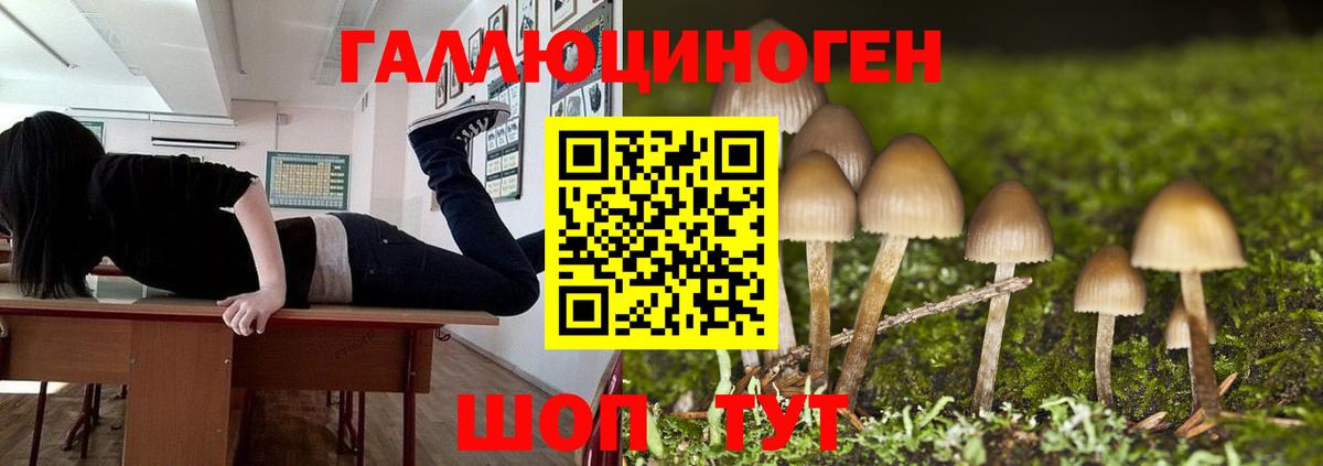 Псилоцибиновые грибы MAGIC MUSHROOMS Златоуст