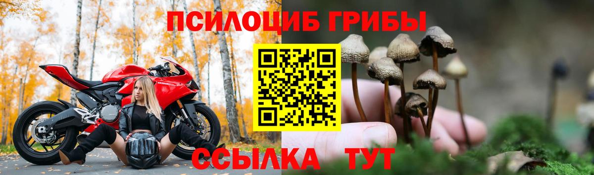 Галлюциногенные грибы GOLDEN TEACHER  Галлюциногенные грибы Psilocybine cubensis  Вход с VPN  Златоуст 