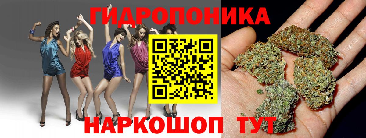 Златоуст  Конопля планчик  Канабис Amnesia  Вход с VPN 